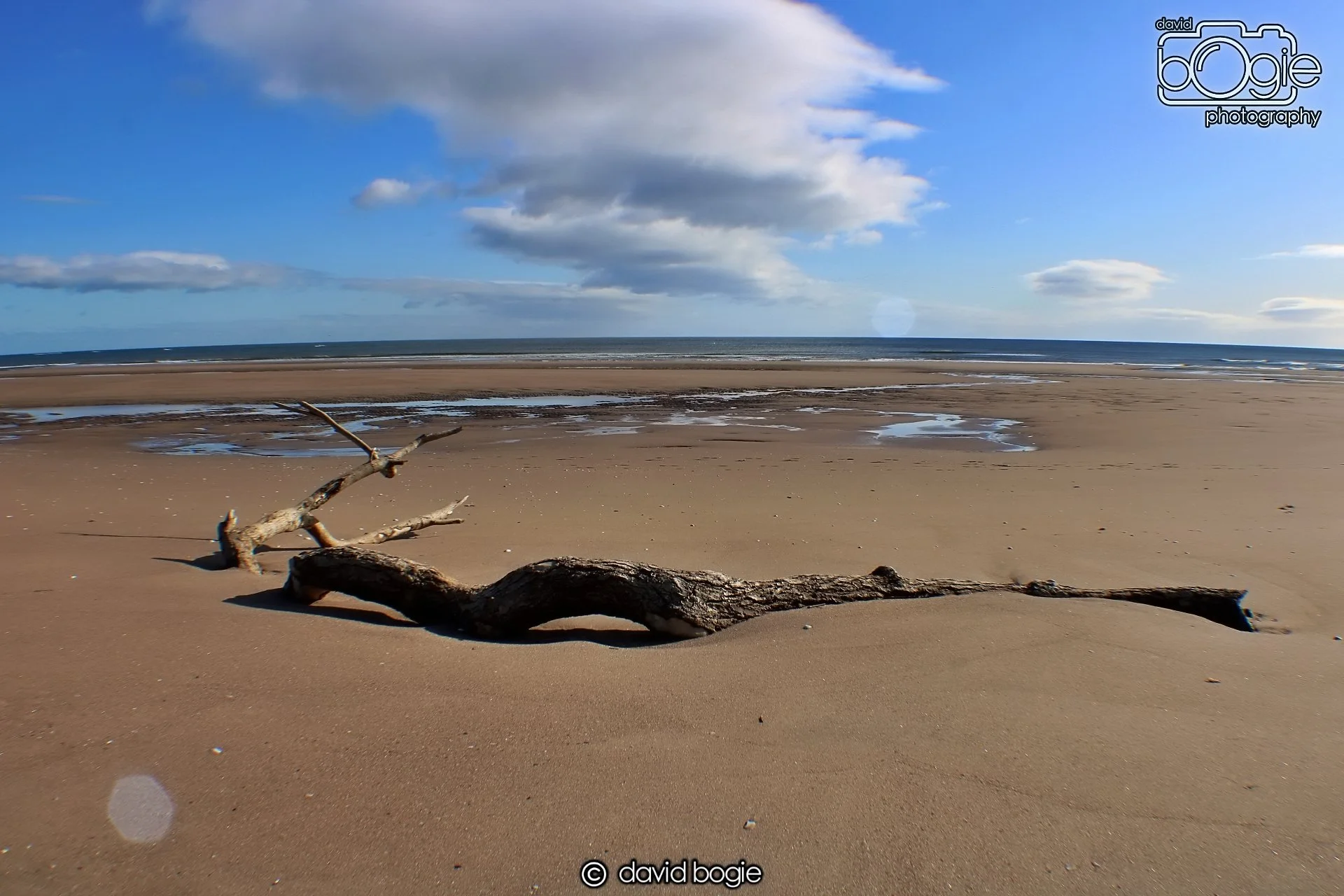 20191002 112222 Tentsmuir 0001.jpg