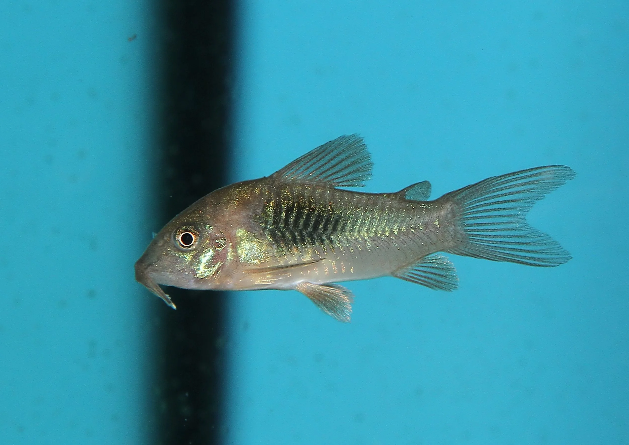 20260403 140839 IMG_0143.jpg