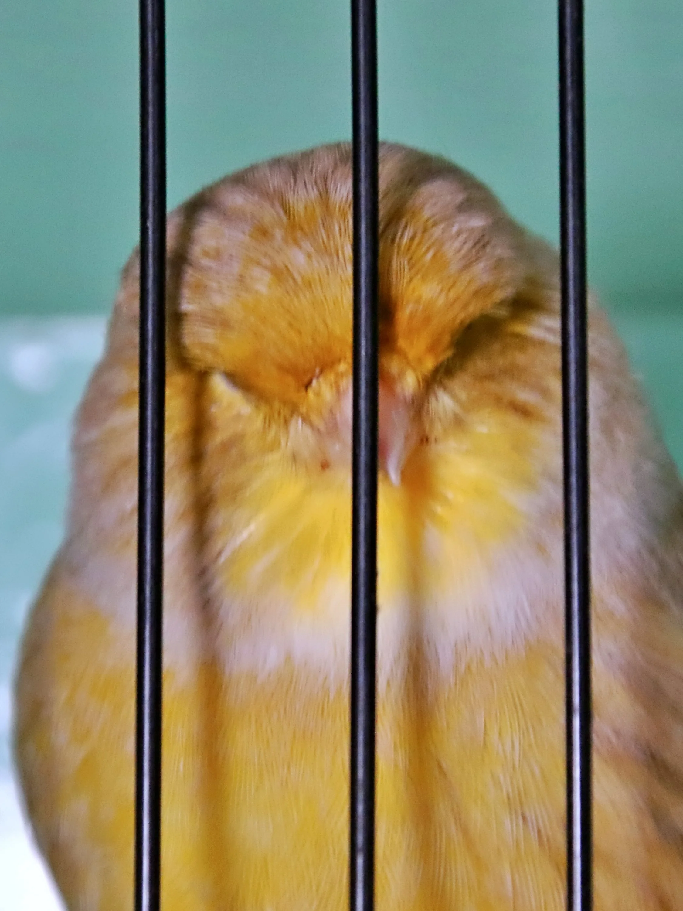 20251102 125603 Markinch CBS  0632.JPG