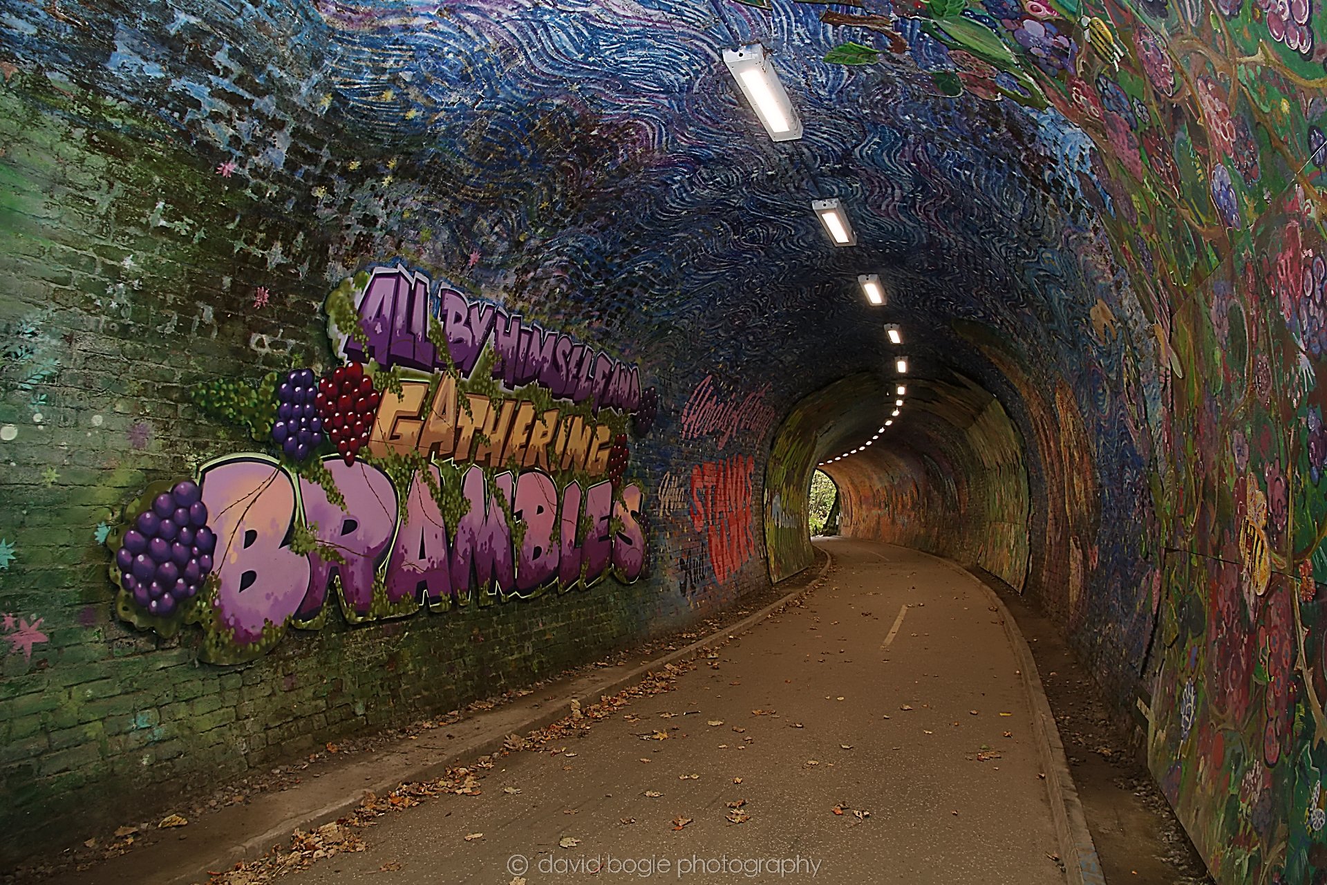 YEAR20221102 141224 Colinton Tunnel 0028.jpg