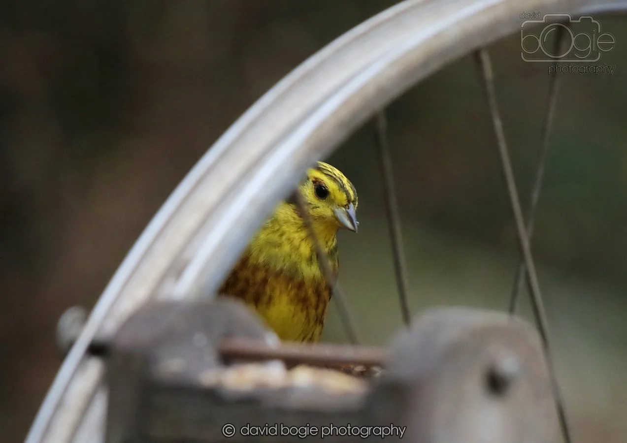 20260215 132520 Silverburn 0179.jpg