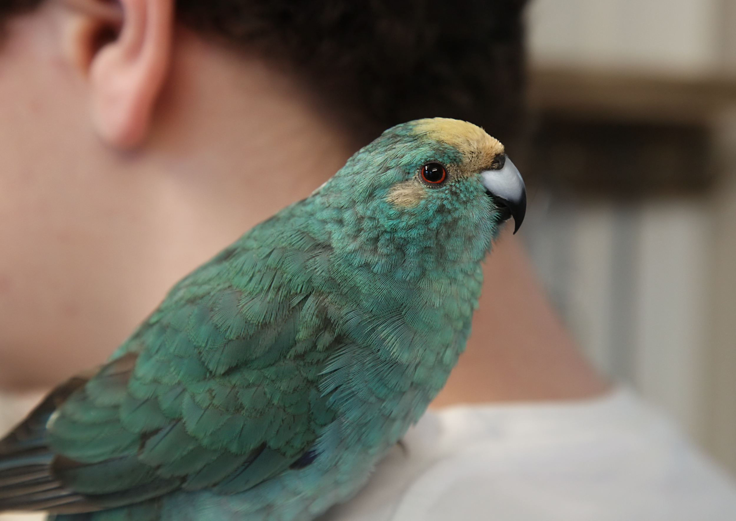 20260212 120156 IMG_0128.png