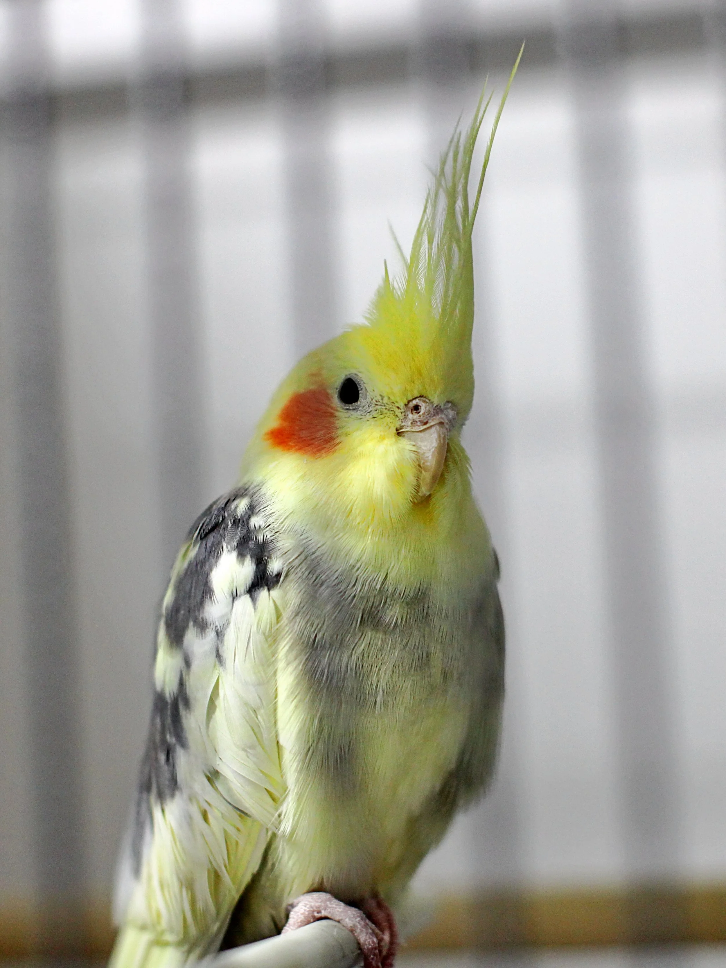 20251117 133233 IMG_0047.JPG