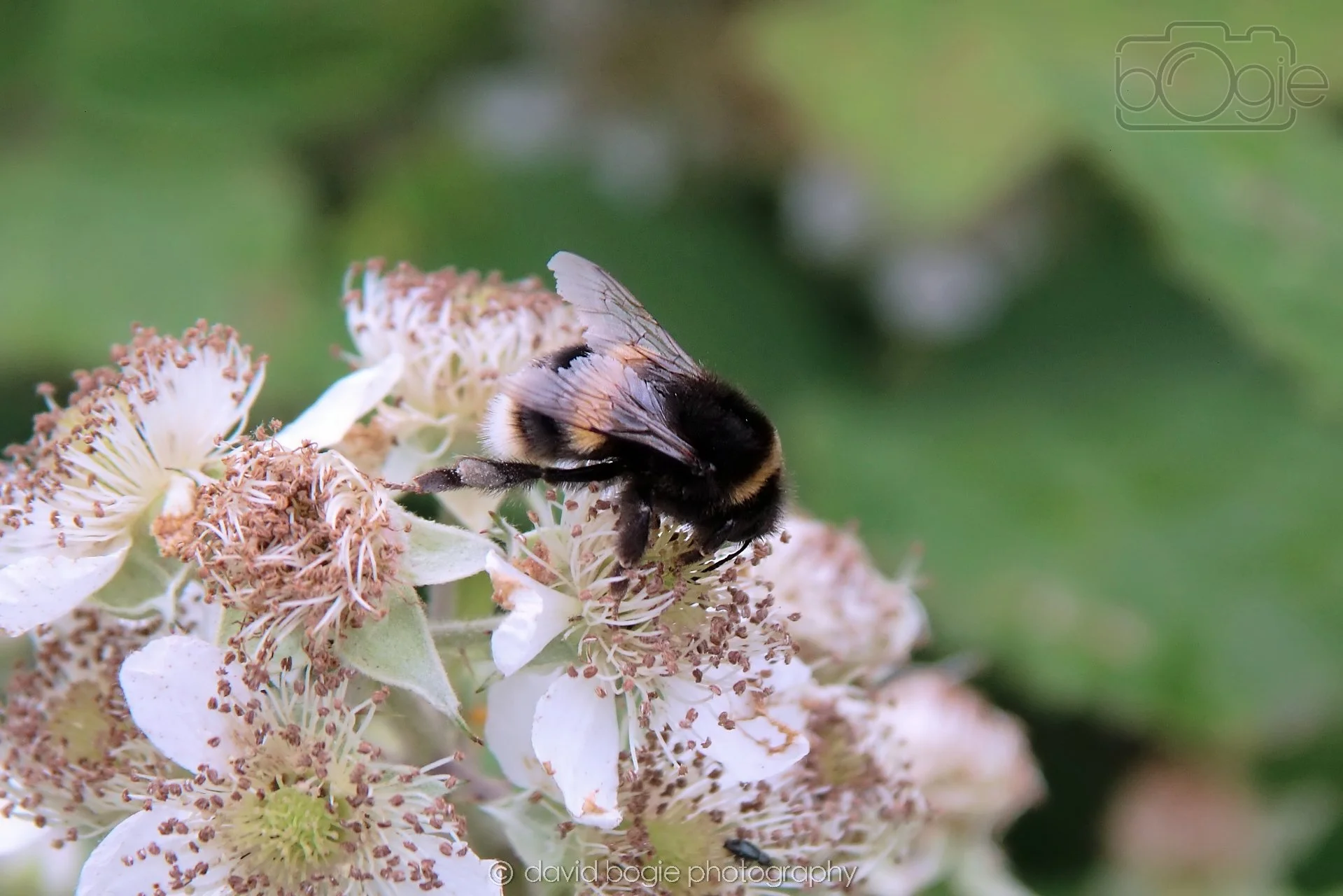 20230710 Lochore Meadows 130200 00002.jpg