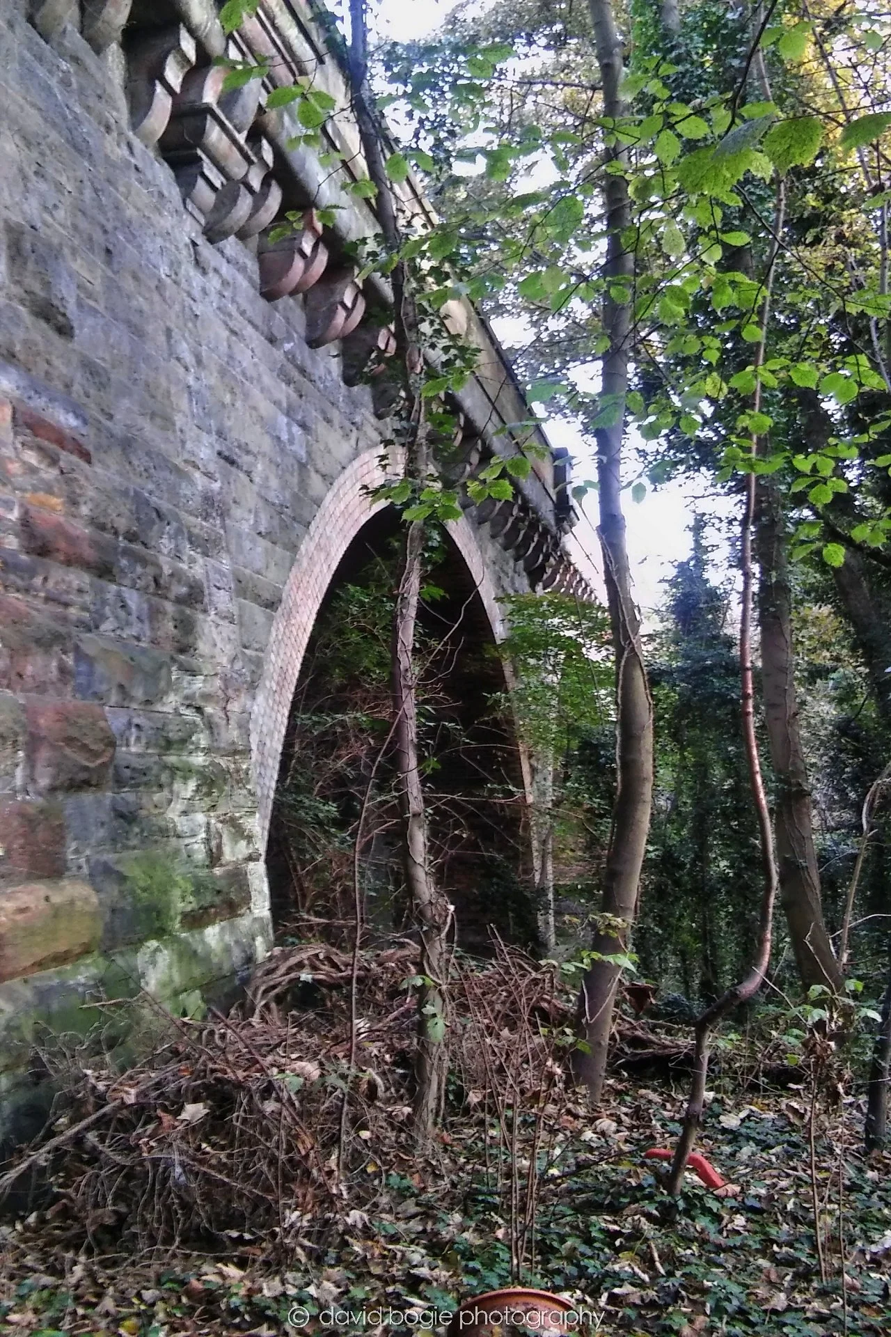 20161027 094726 Kirkcaldy 0012.jpg