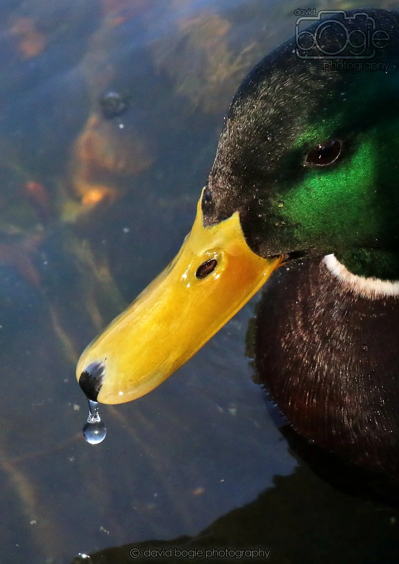 20260319 113508 Beveridge Park 0148.jpg