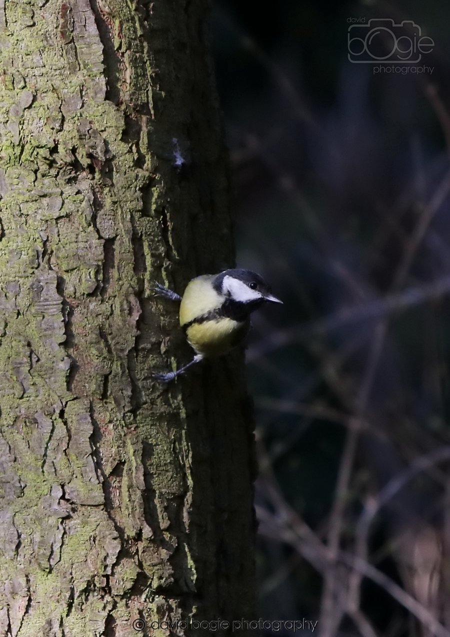 20260308 143533 Dunnikier 0034.jpg