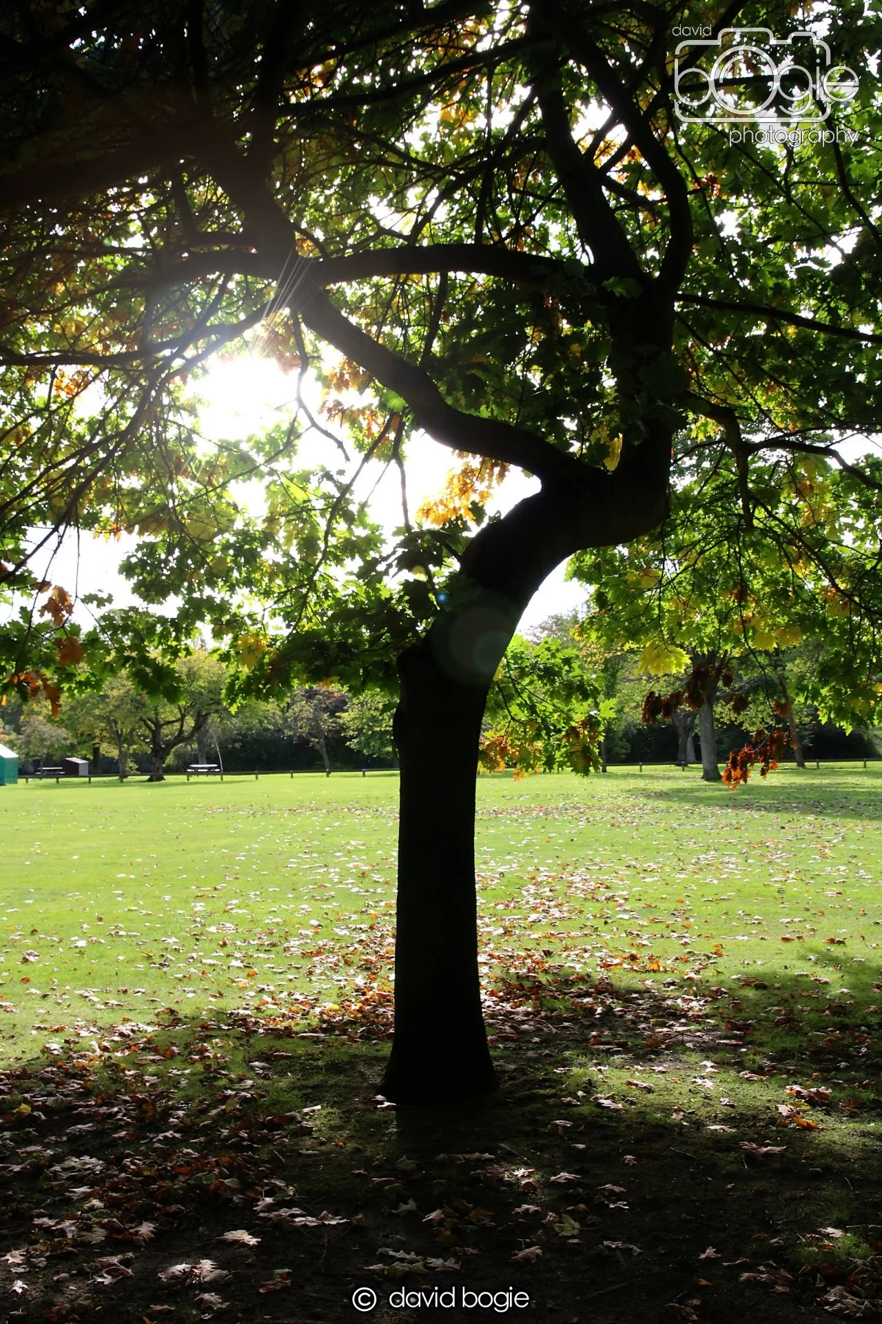 20220926 Beveridge Park2 .JPG