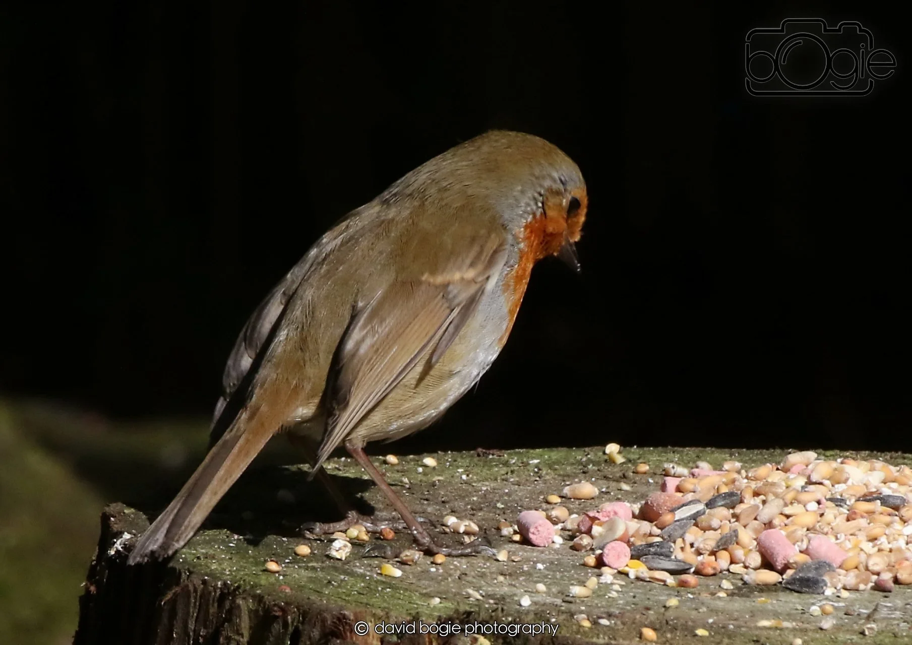 20260403 121202 Dunnikier 0025.jpg