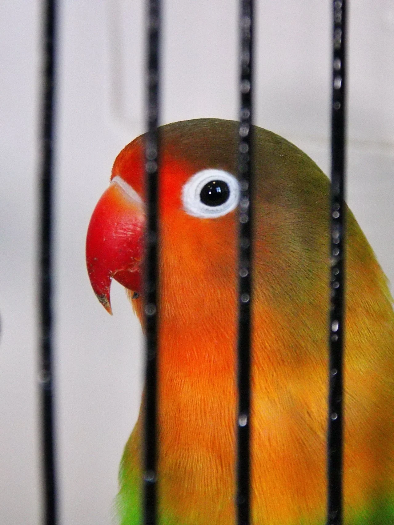 20241103 130503 MCBS Show 0448.JPG