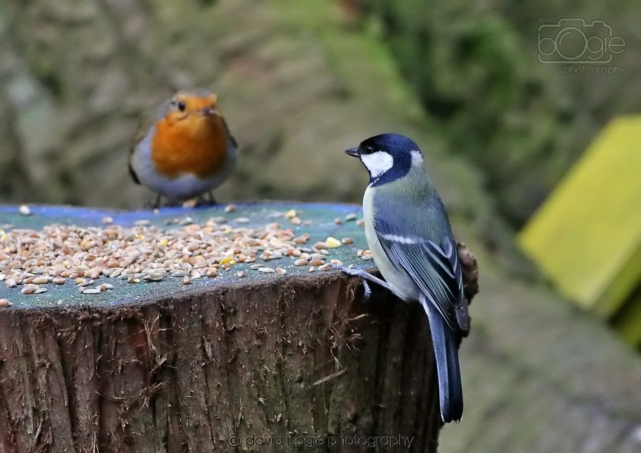 20260309 114554 Dunnikier 0374.jpg