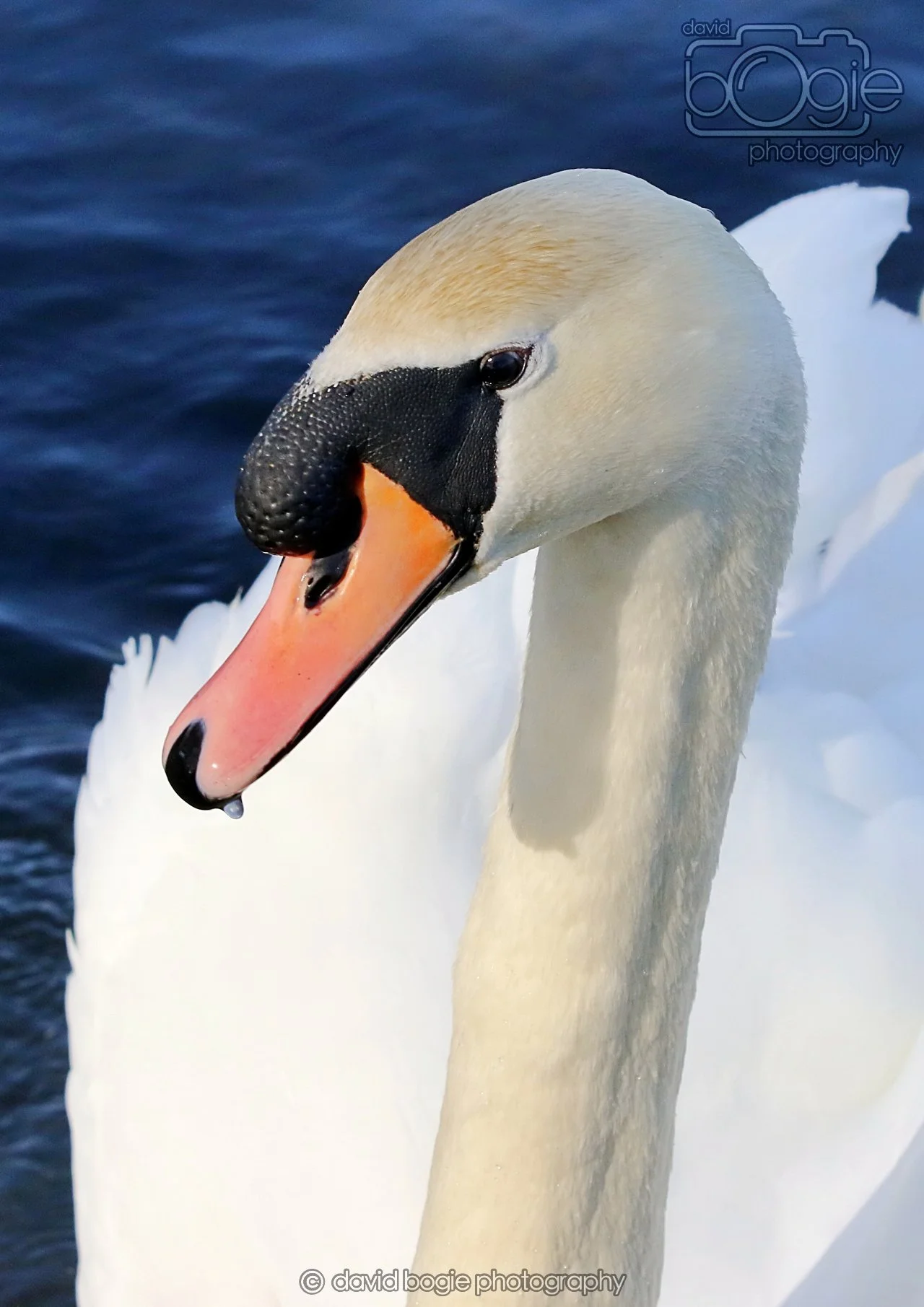 20260319 113046 Beveridge Park 0083.jpg