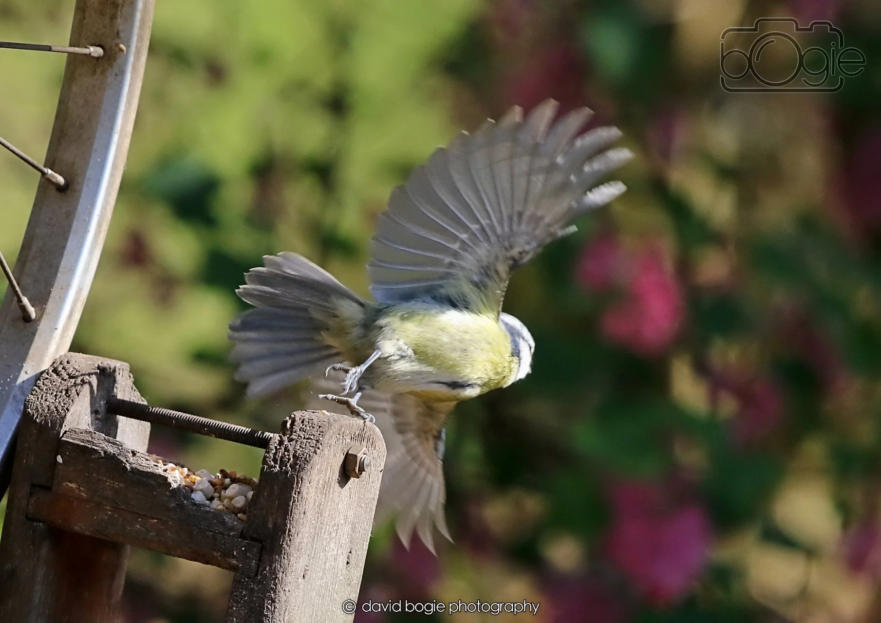 20260402 095333 Silverburn 0036.jpg