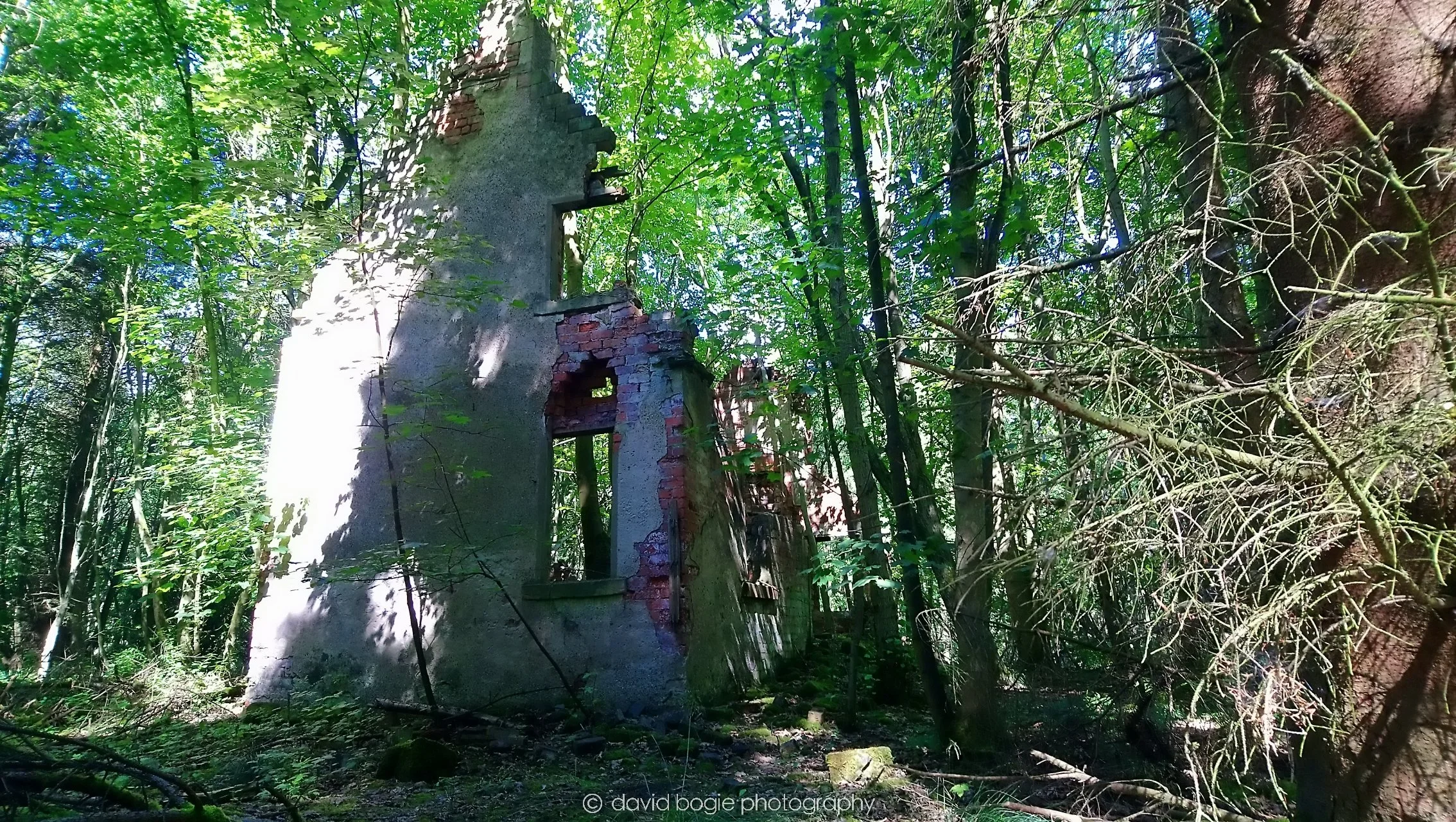 YEAR20180809 131434 Wemyss Firs 0003.jpg
