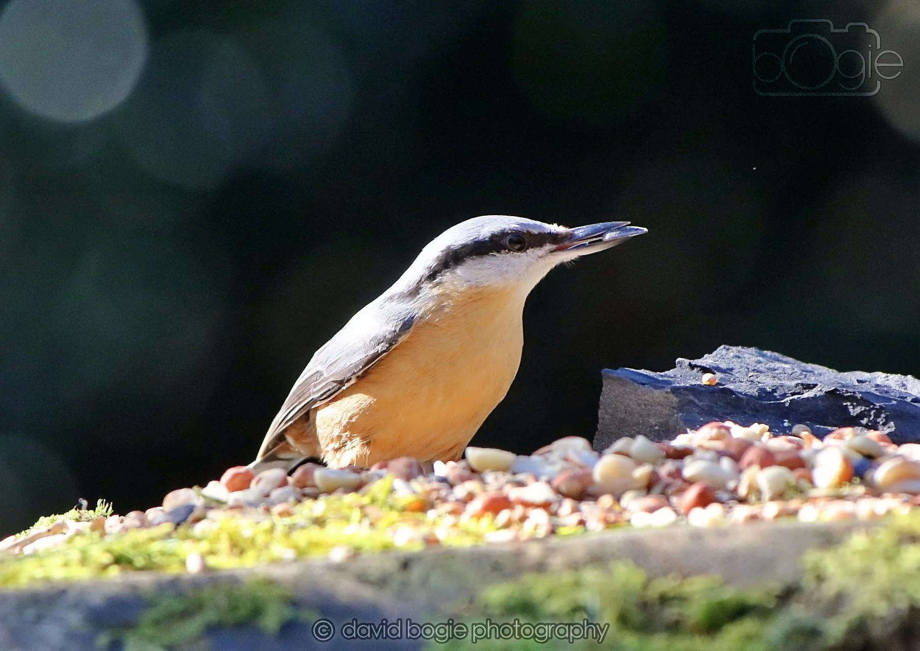 20260320 143004 Ravenscraig 0282.jpg