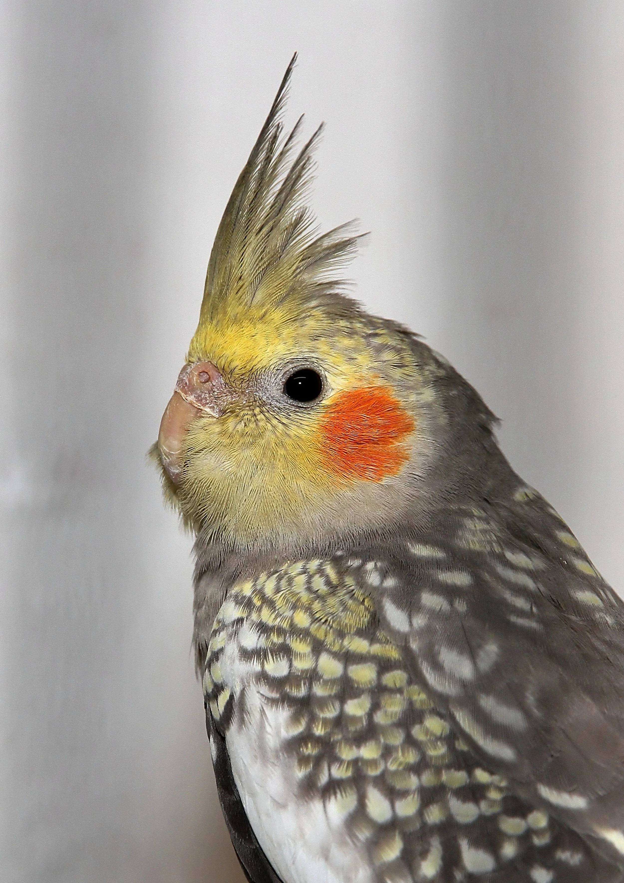 20260331 103908 K&S 0290.jpg