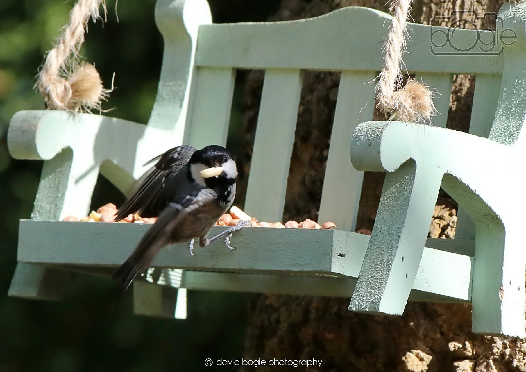 20260403 121848 Dunnikier 0133.jpg