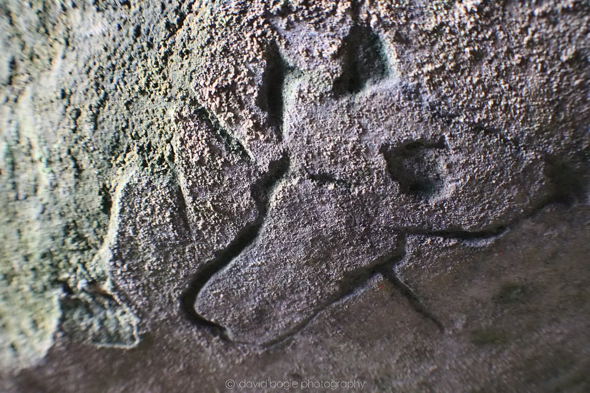 20190926 110719 Wemyss Caves 0025.jpg
