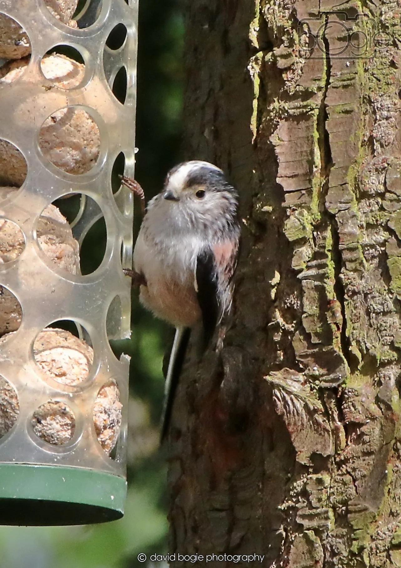 20260403 120456 Dunnikier 0010.jpg