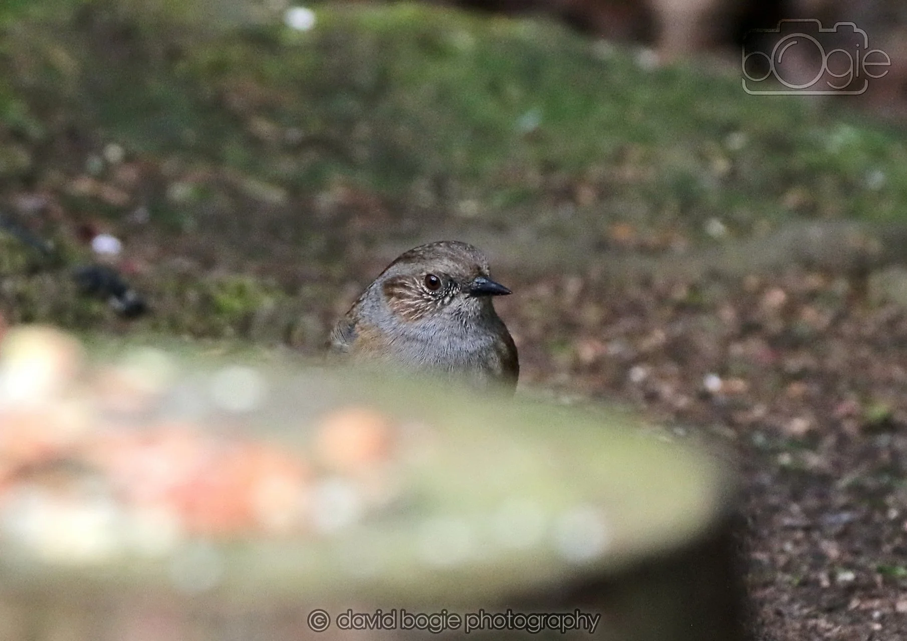 20260322 144612 Dunnikier 0158.jpg