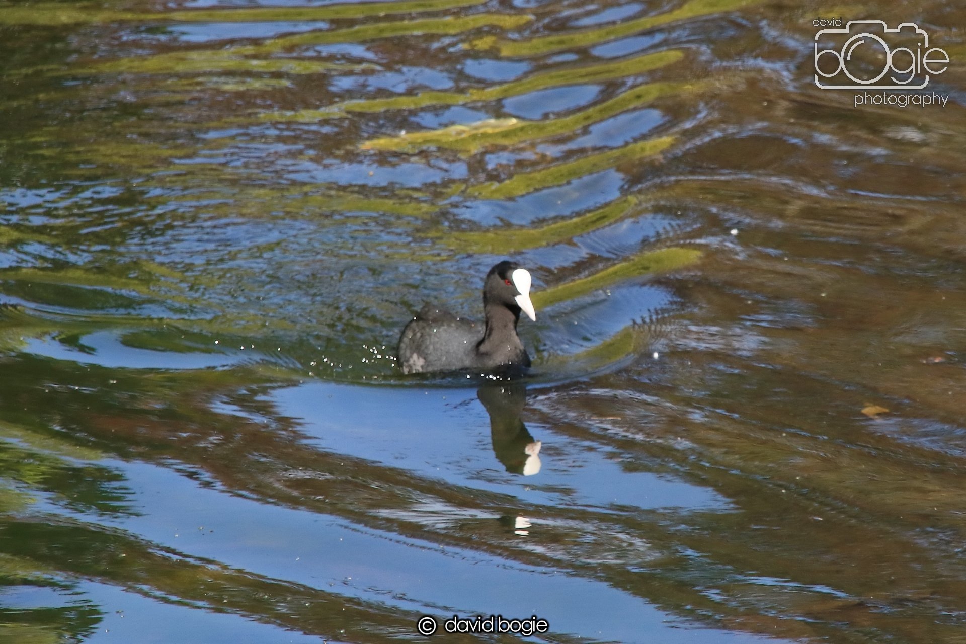 20250505 135105 Beveridge Park 0990.JPG