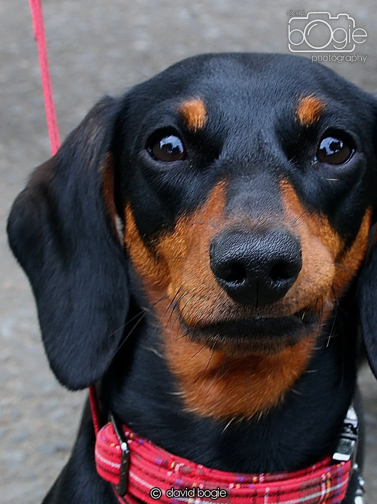 20240722 143627 Beveridge 0100.JPG