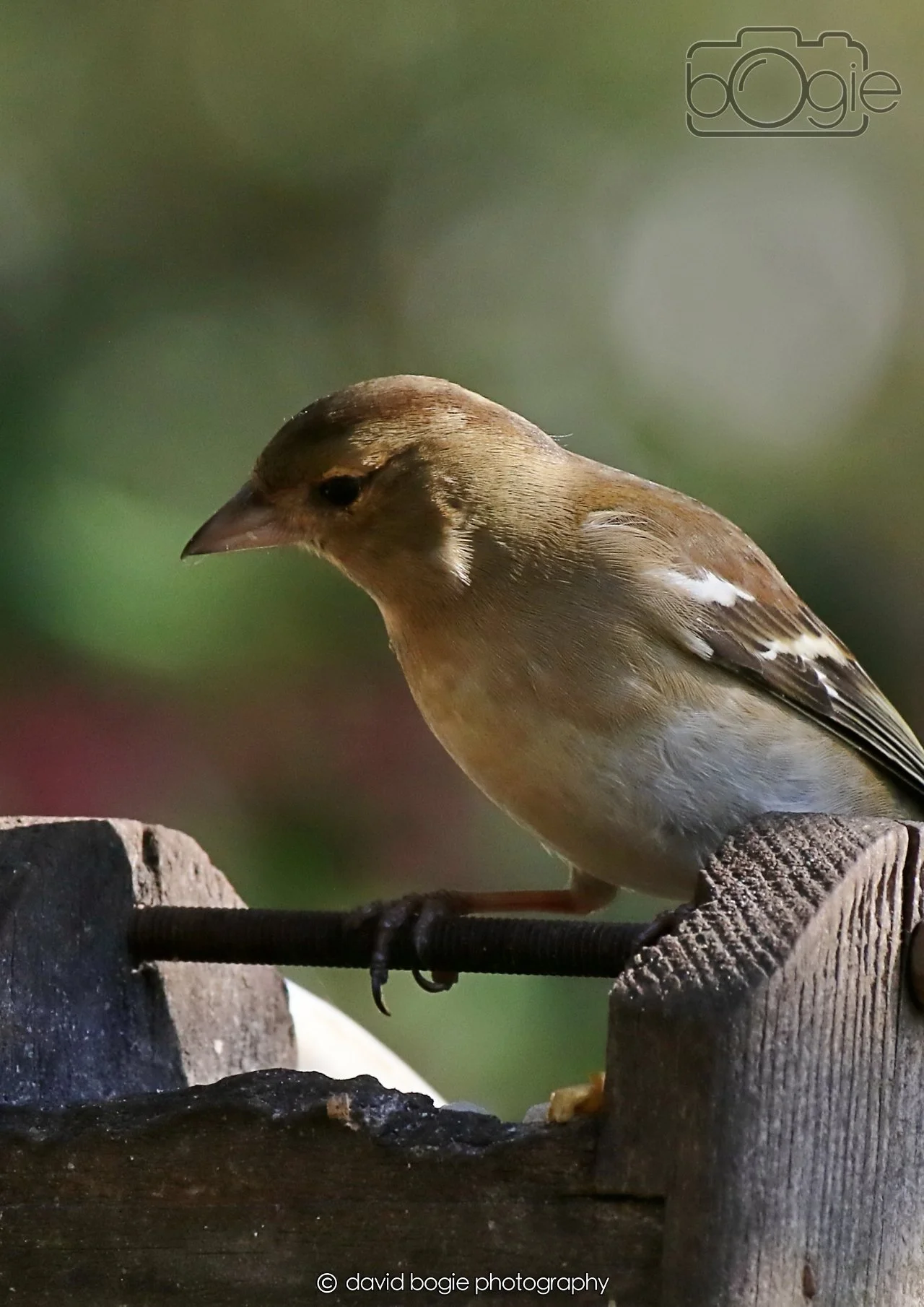 20260402 095733 Silverburn 0050.jpg