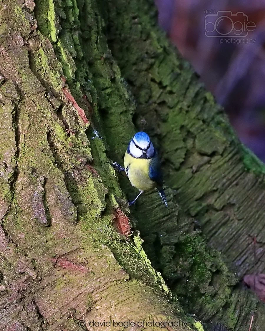 20260128 143719 Dunnikier 0424.jpg