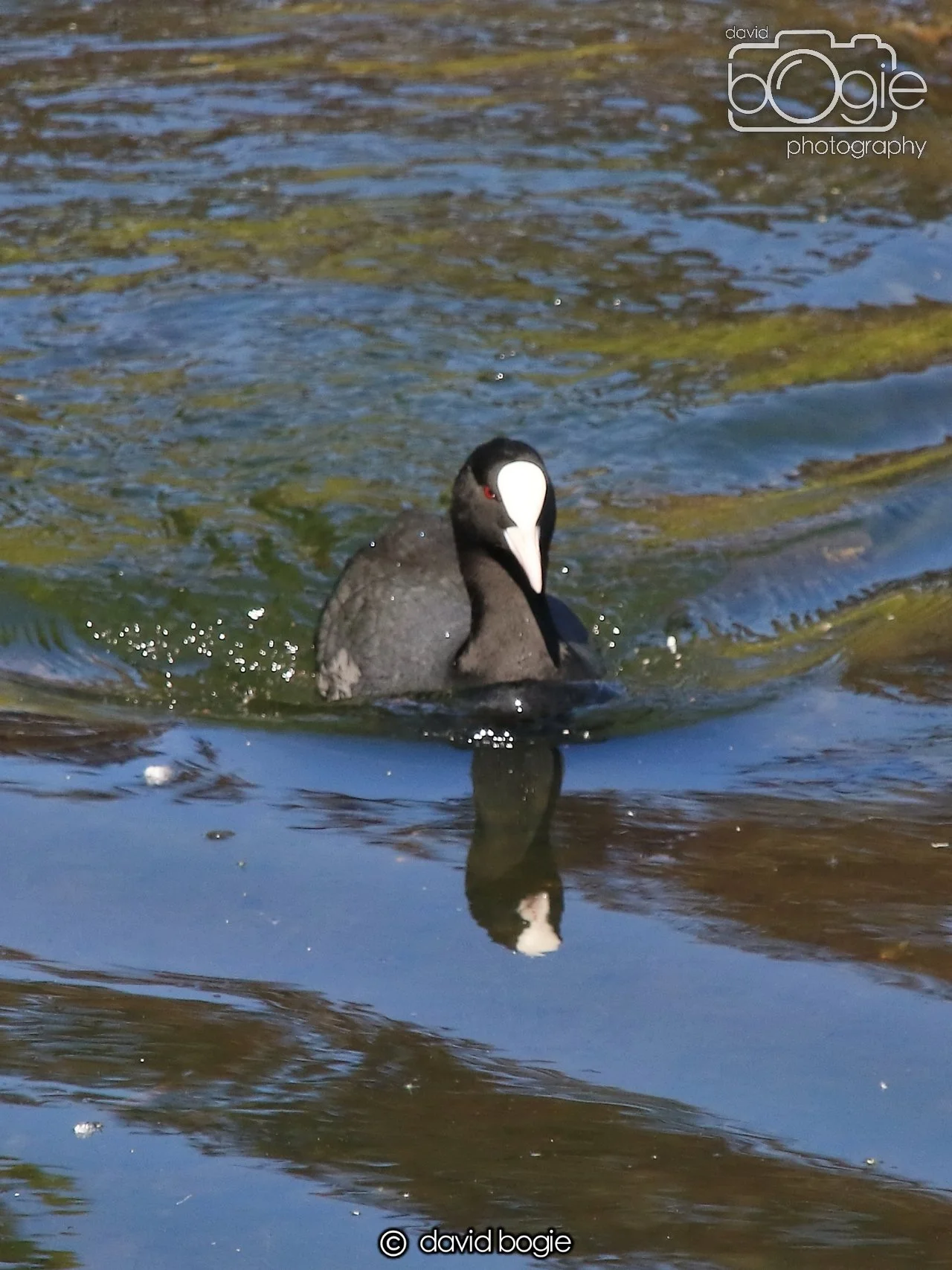 20250505 135107 Beveridge Park 0991.JPG