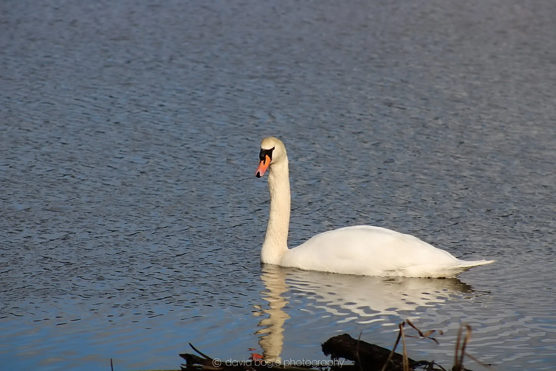 20210225 Lochore 2.jpg