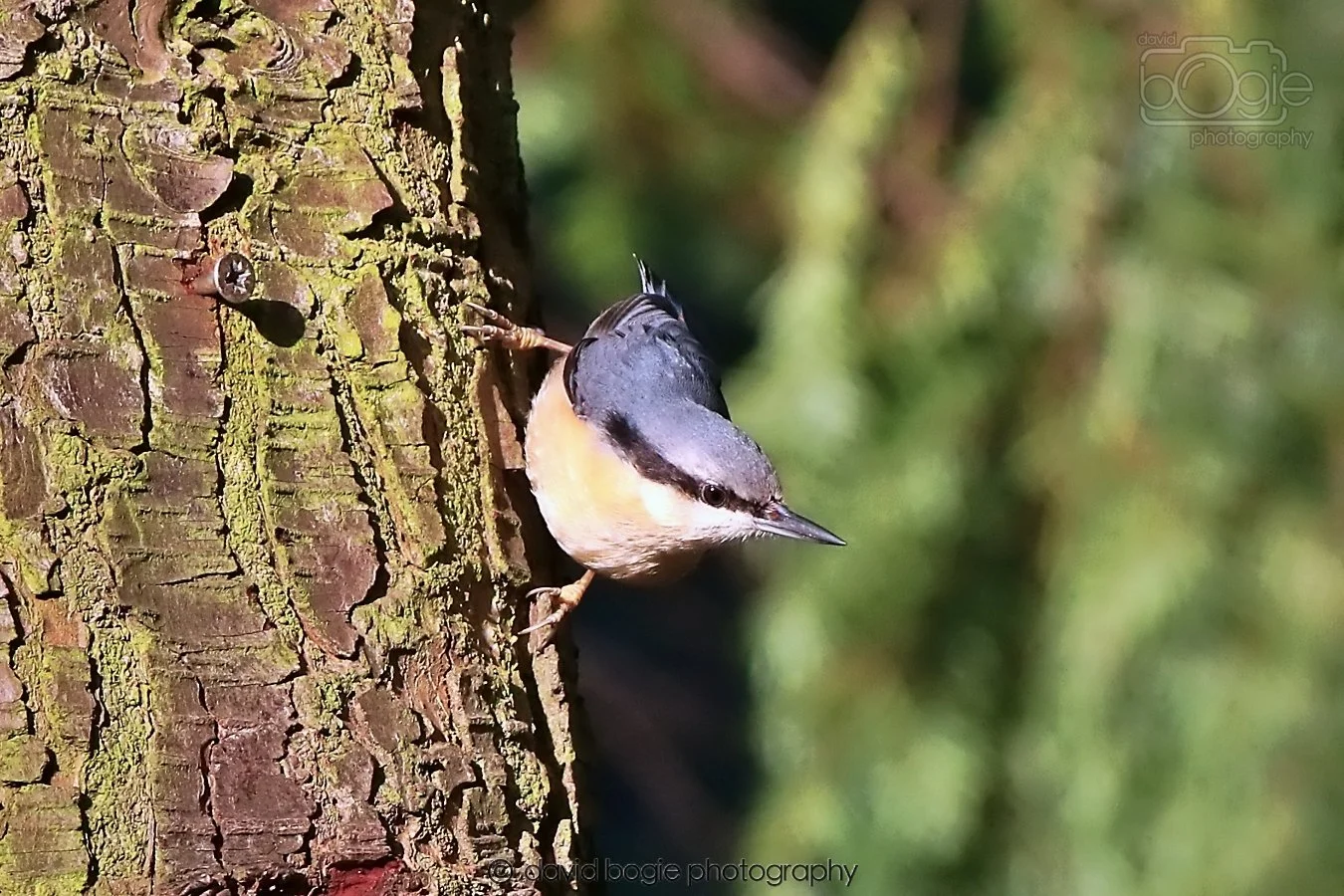 20260128 134602 Dunnikier 0281.jpg