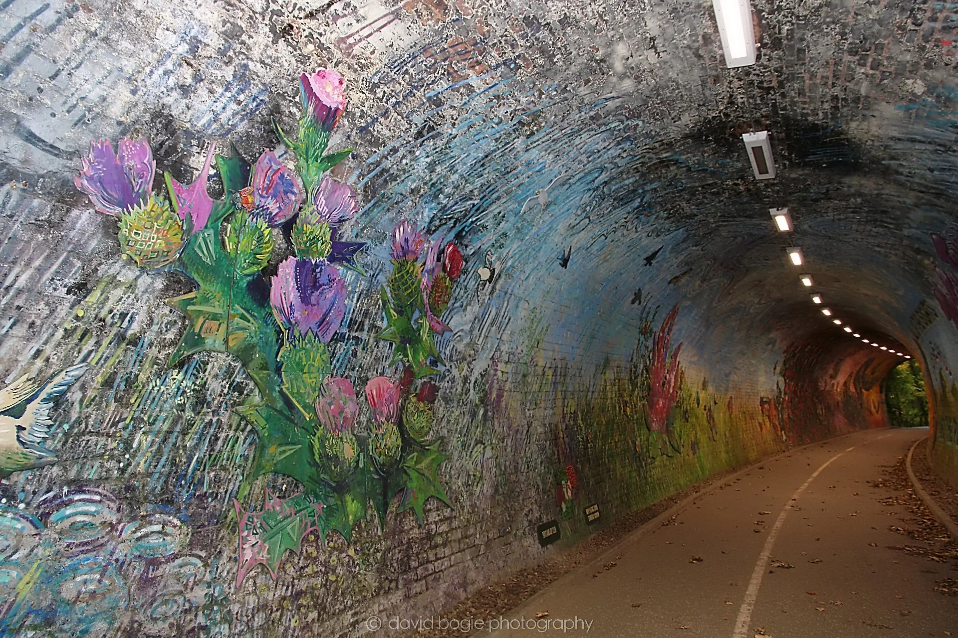YEAR20221102 142612 Colinton Tunnel 0041.jpg