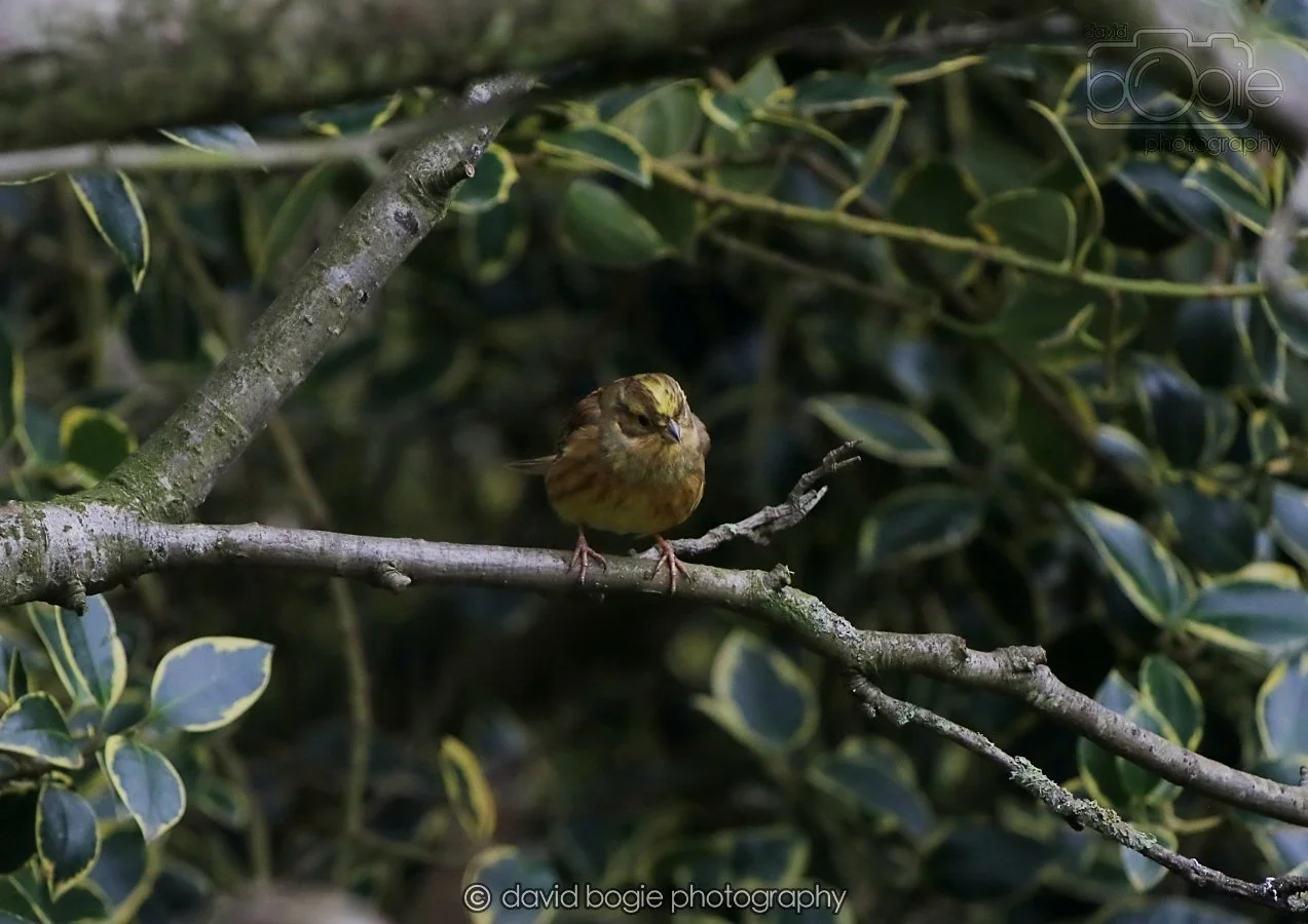 20260215 130429 Silverburn 0034.jpg