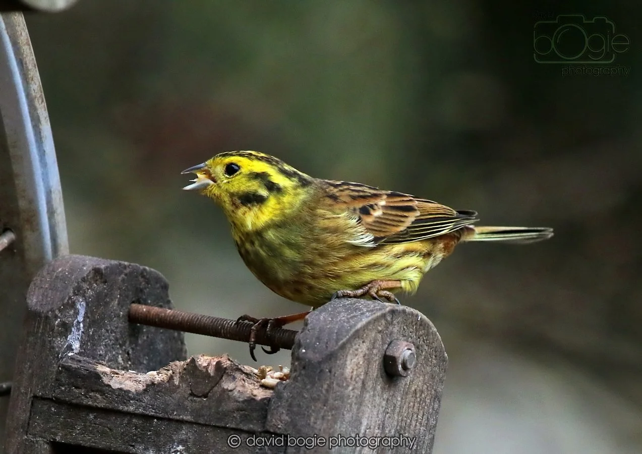 20260215 132439 Silverburn 0144.jpg