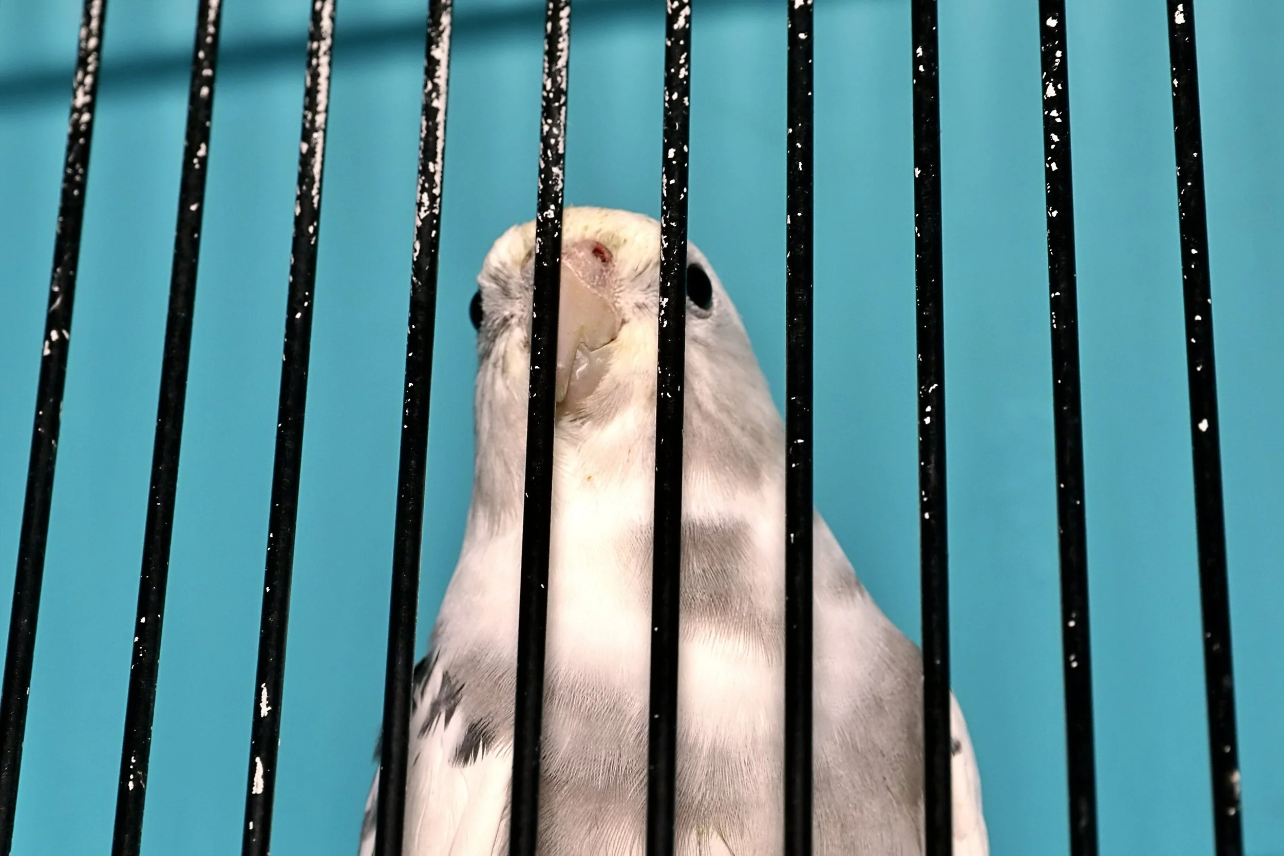 20251102 125048 Markinch CBS  0576.JPG