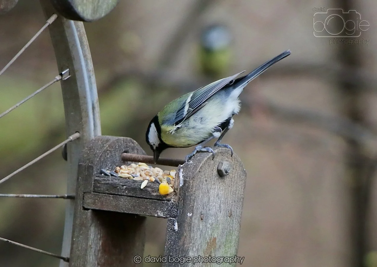 20260215 130259 Silverburn 0017.jpg