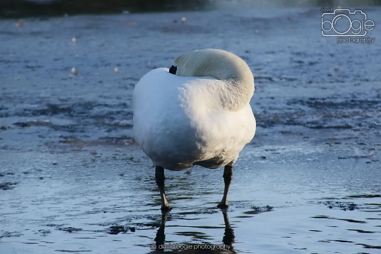 20260103 111916 Beveridge Park 0026.JPG