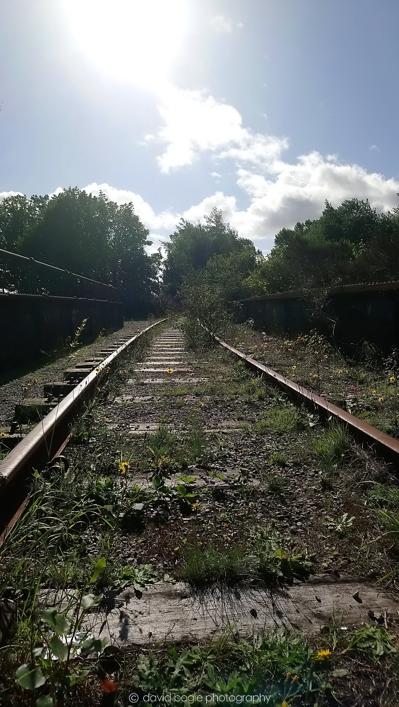 YEAR20180912 110537 Leven 0107.jpg