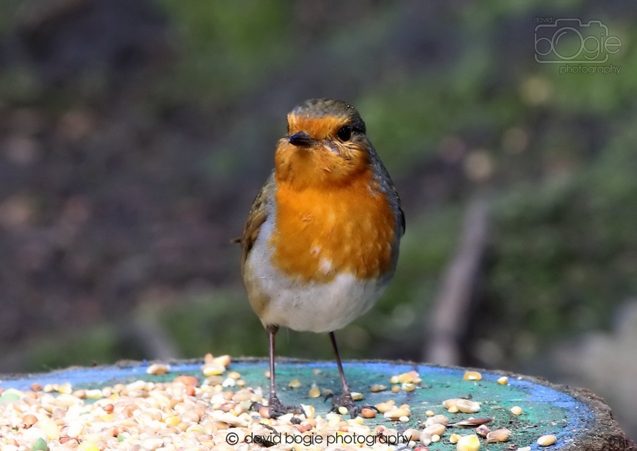 20260306 121956 Dunnikier 0631.jpg