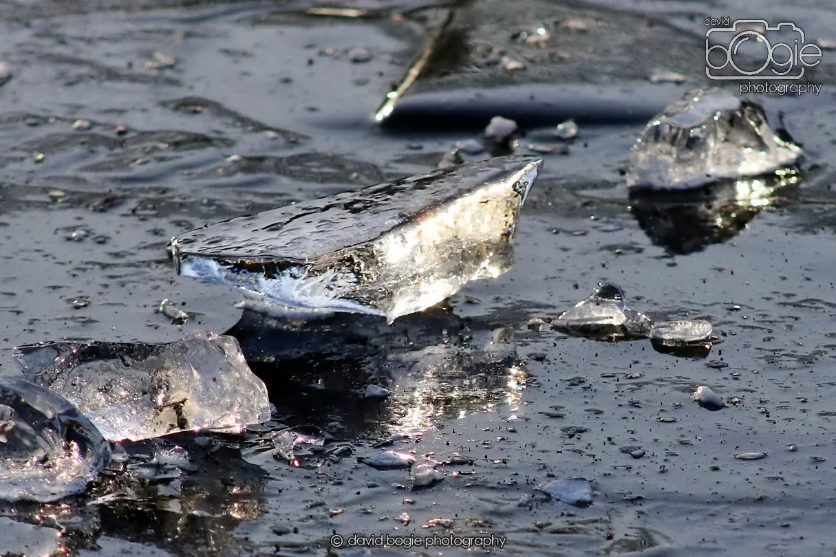 20260103 111006 Beveridge Park 0018.JPG