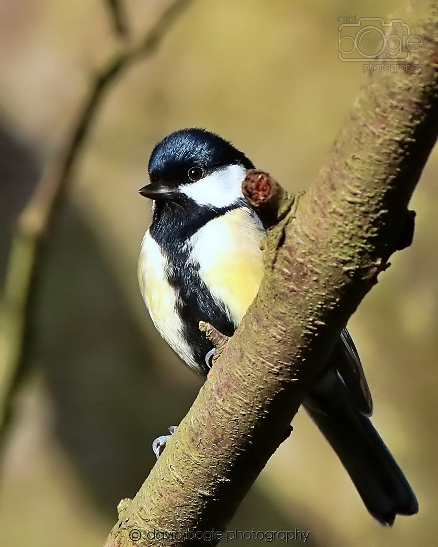 20260128 134619 Dunnikier 0287.jpg