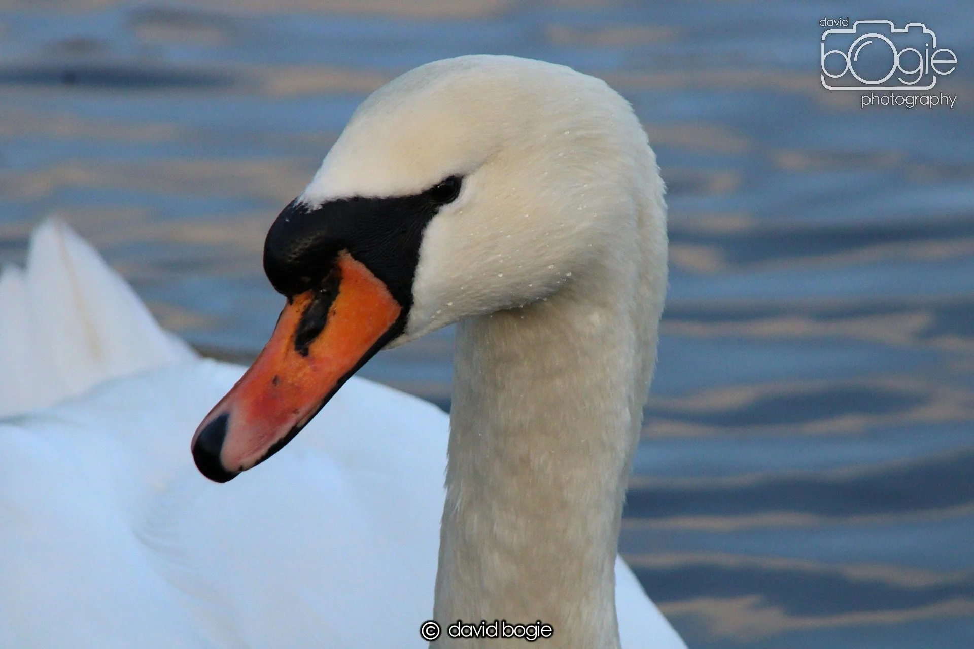 20220101 Beveridge Park 34 .JPG