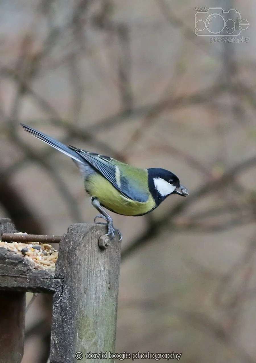 20260215 130015 Silverburn 0016.jpg