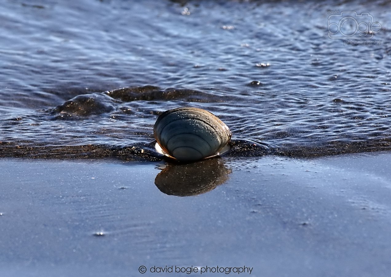 20260307 111434 Kirkcaldy 0078.jpg