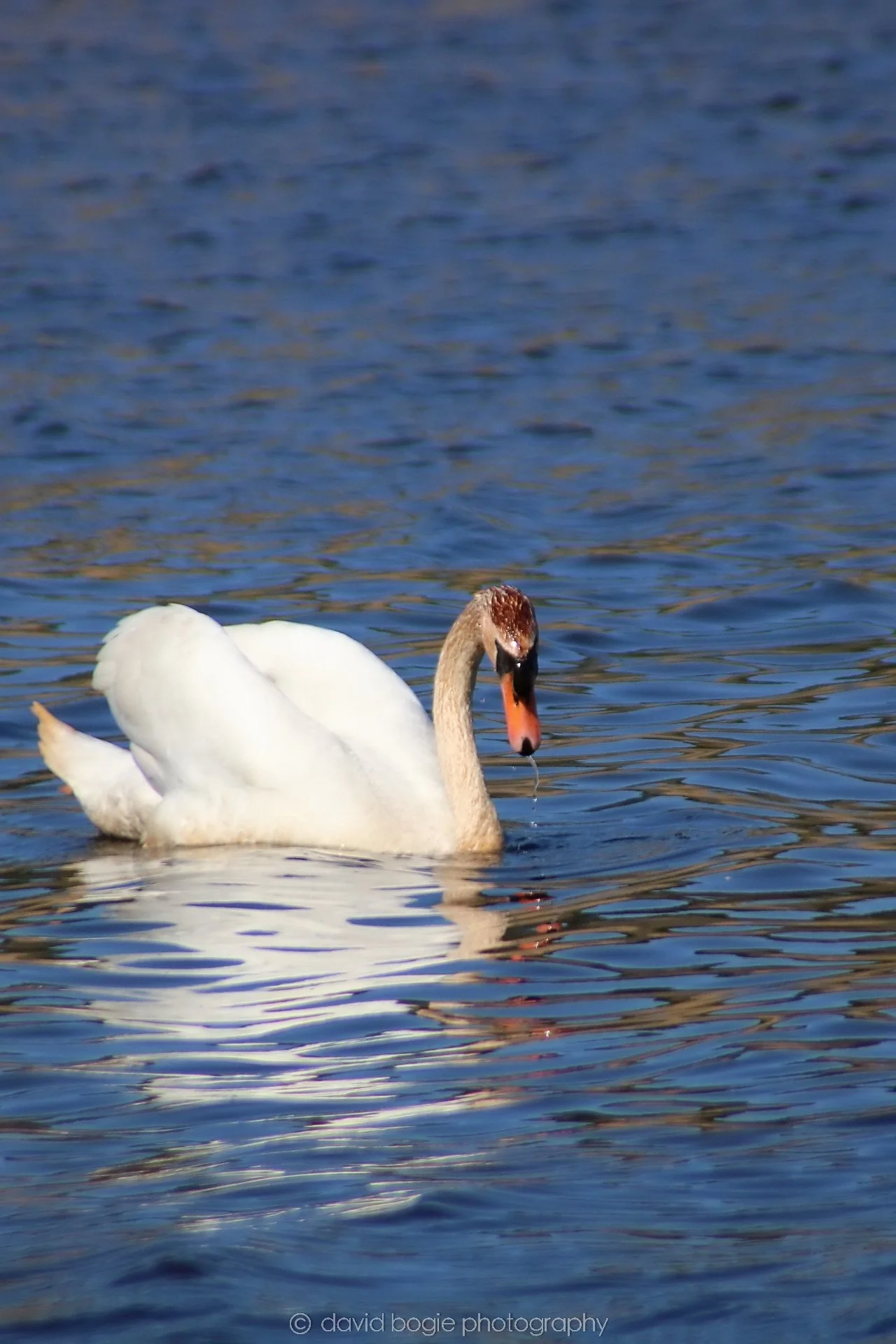 20210420 Lochore 22.jpg