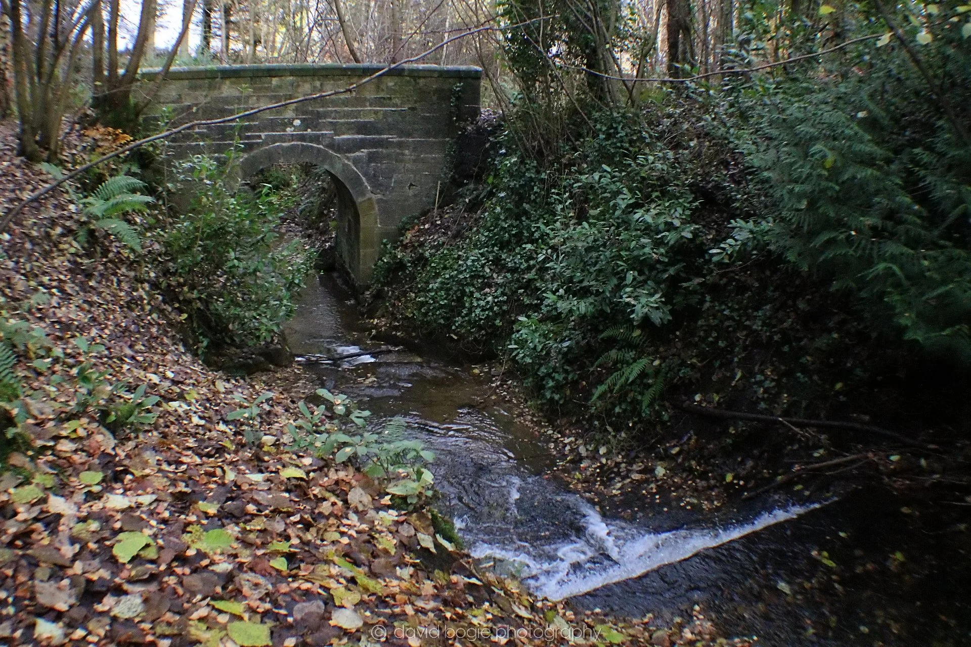20191121 125211 Falkland 0007.jpg
