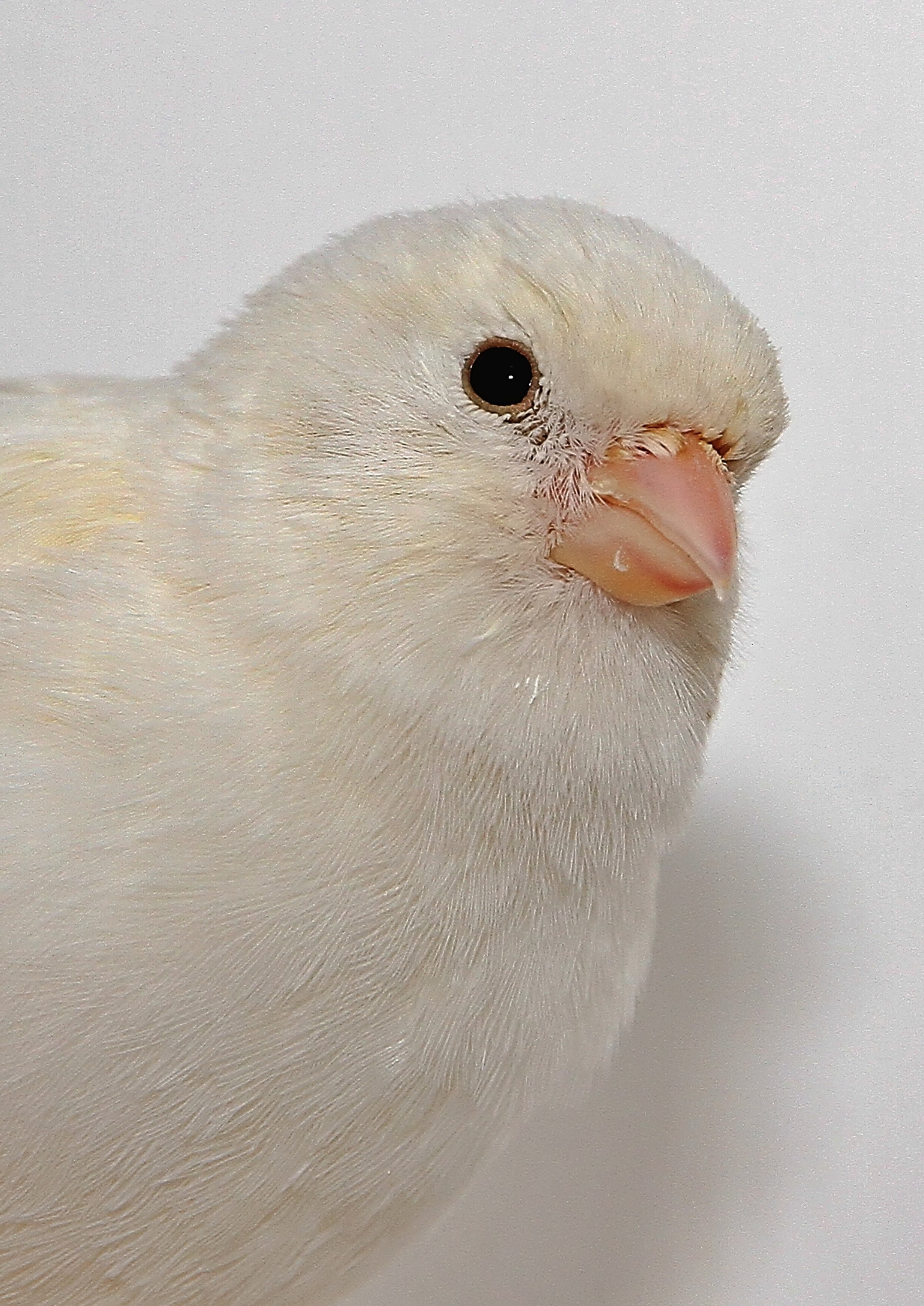 20260331 111753 K&S 0449.jpg