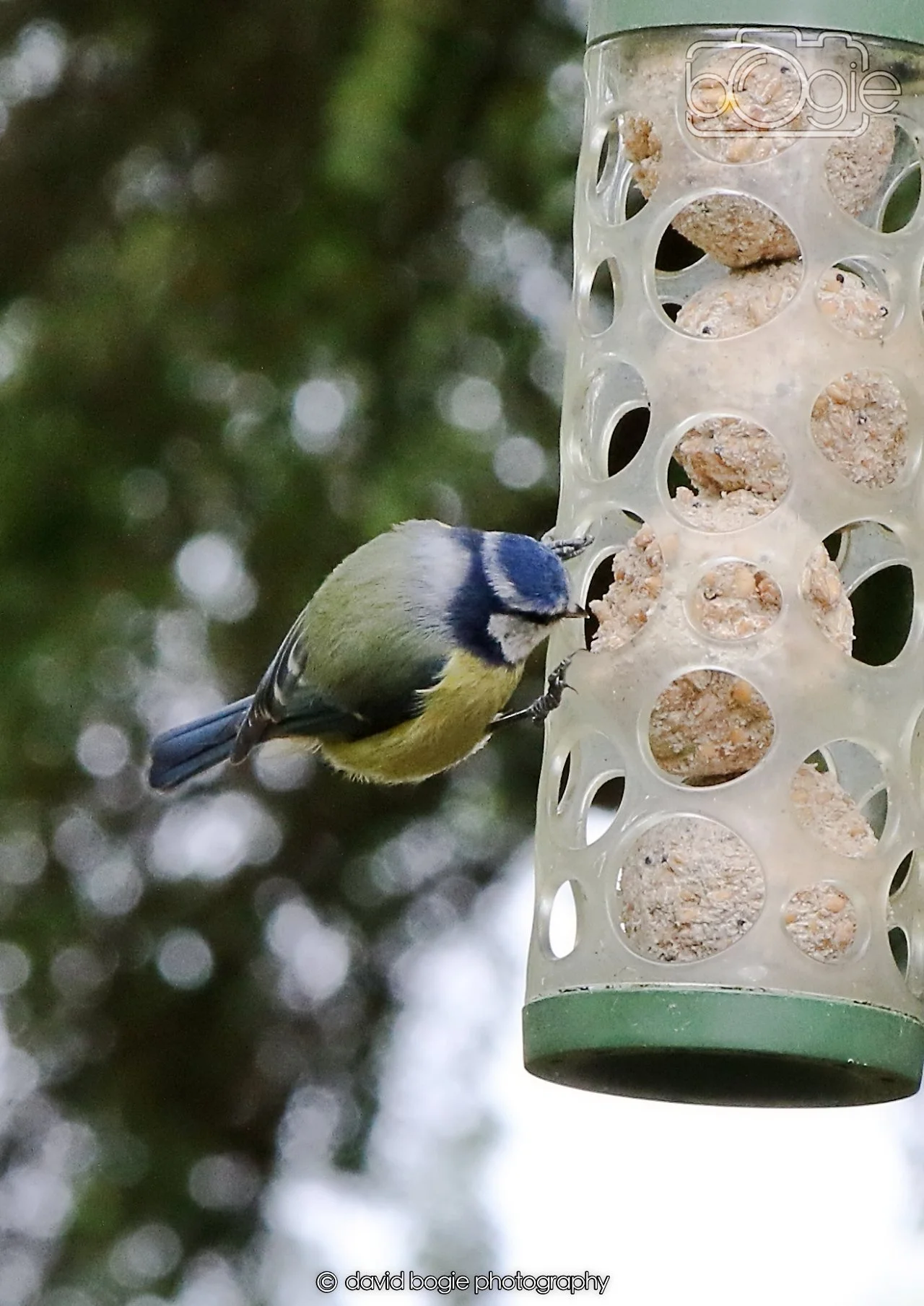 20260330 112548 Dunnikier 0140.jpg