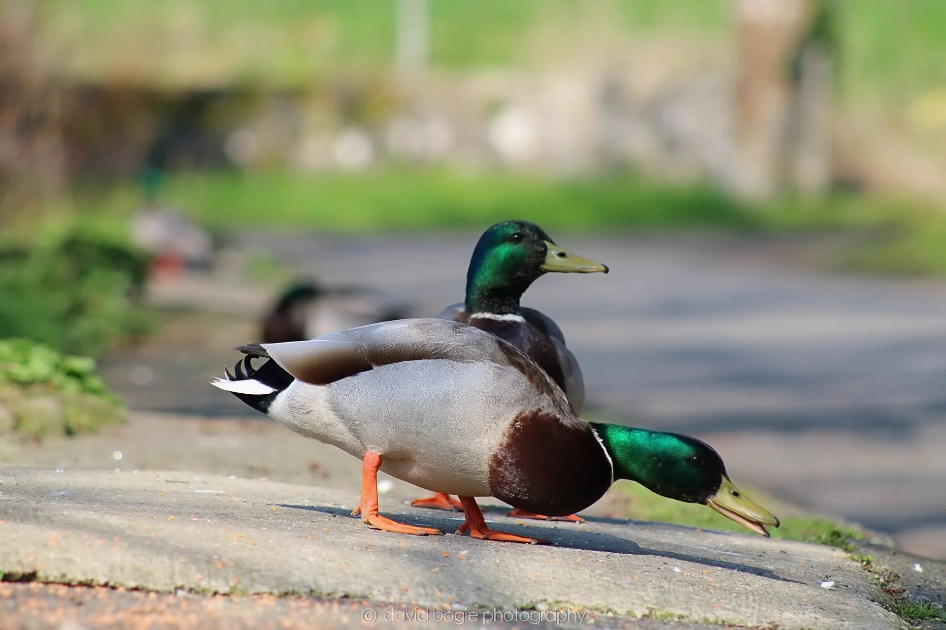 20190411 111551 Otterston 0016.jpg