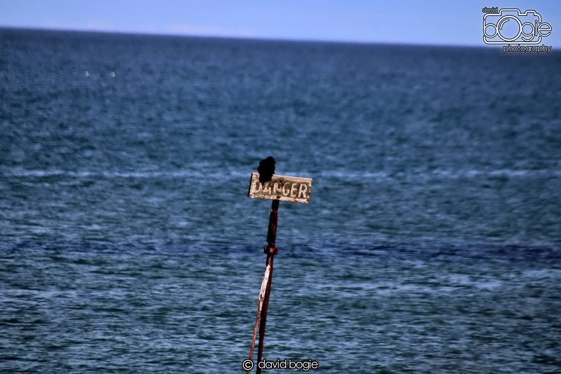 20210606 162206 St Andrews 0020.JPG